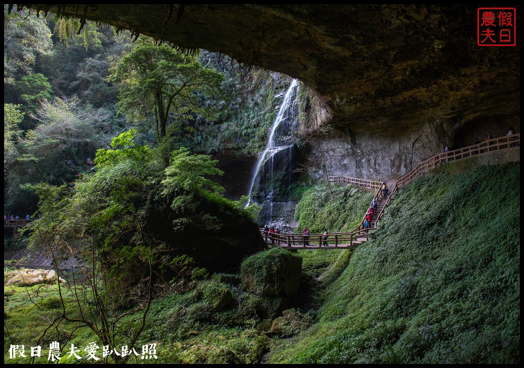 杉林溪森林生態渡假園區．松瀧岩瀑布×水杉林即將變色×紫葉槭全數變紅 @假日農夫愛趴趴照