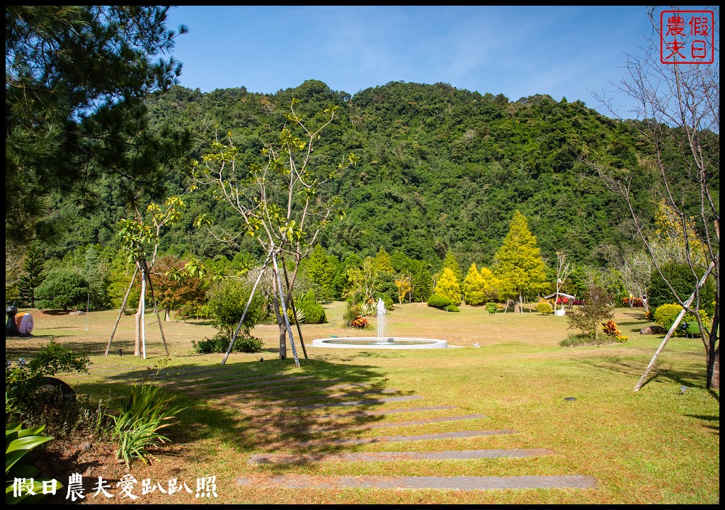 苗栗景點|南庄雲水度假森林．全台十大落羽松秘境之一/泡湯/住宿/下午茶 @假日農夫愛趴趴照