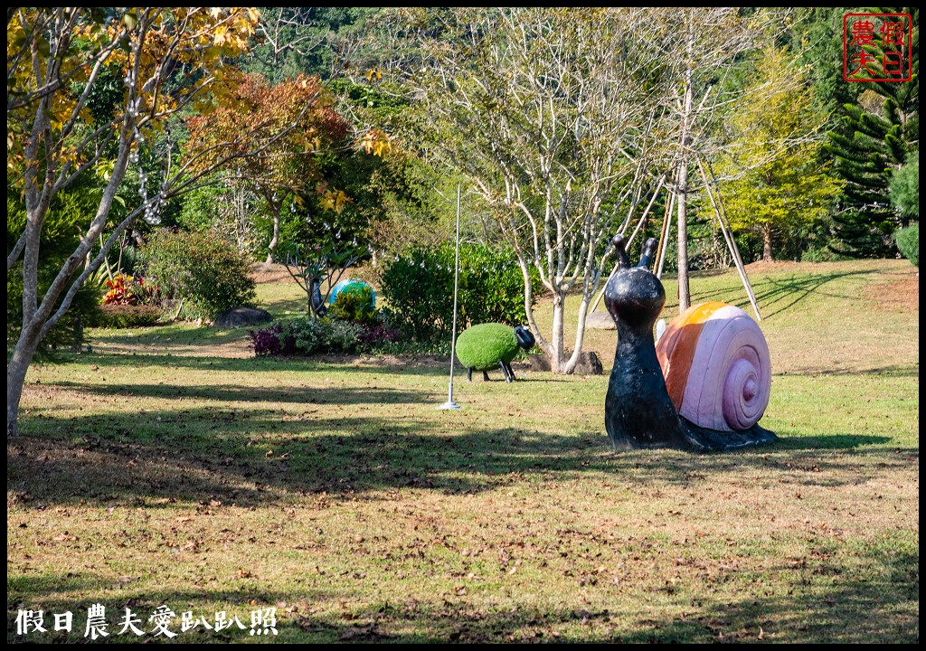 苗栗景點|南庄雲水度假森林．全台十大落羽松秘境之一/泡湯/住宿/下午茶 @假日農夫愛趴趴照