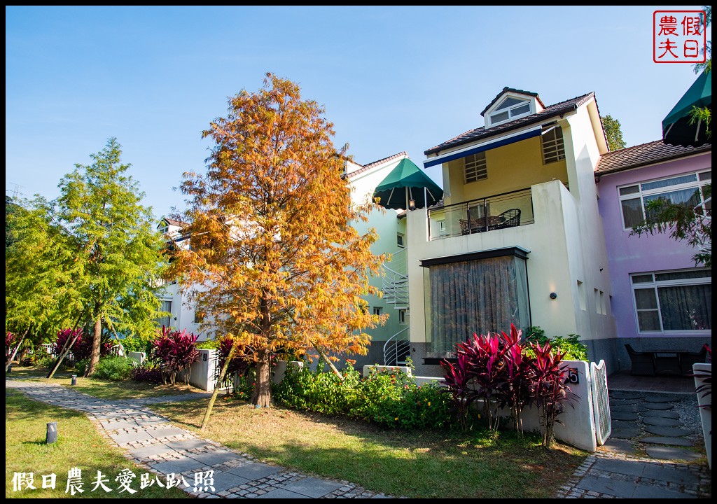 苗栗景點|南庄雲水度假森林．全台十大落羽松秘境之一/泡湯/住宿/下午茶 @假日農夫愛趴趴照