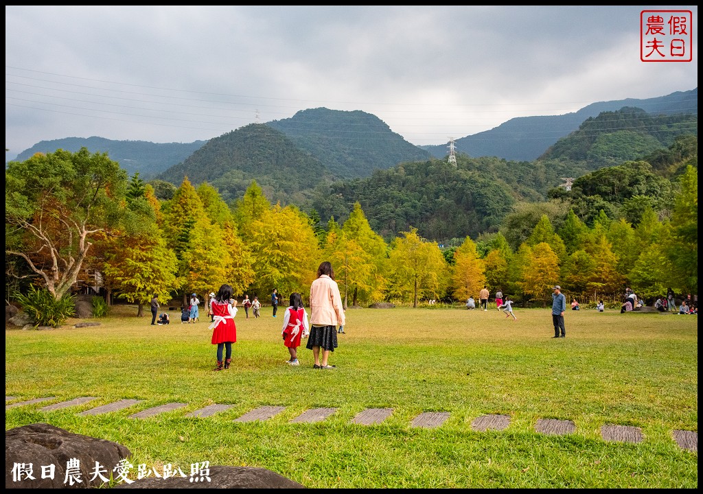 苗栗景點|南庄雲水度假森林．全台十大落羽松秘境之一/泡湯/住宿/下午茶 @假日農夫愛趴趴照