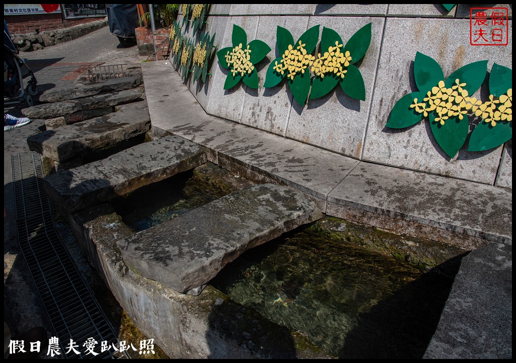 苗栗旅遊|南庄一日遊．慢城飄香遊南庄/桂花巷 @假日農夫愛趴趴照