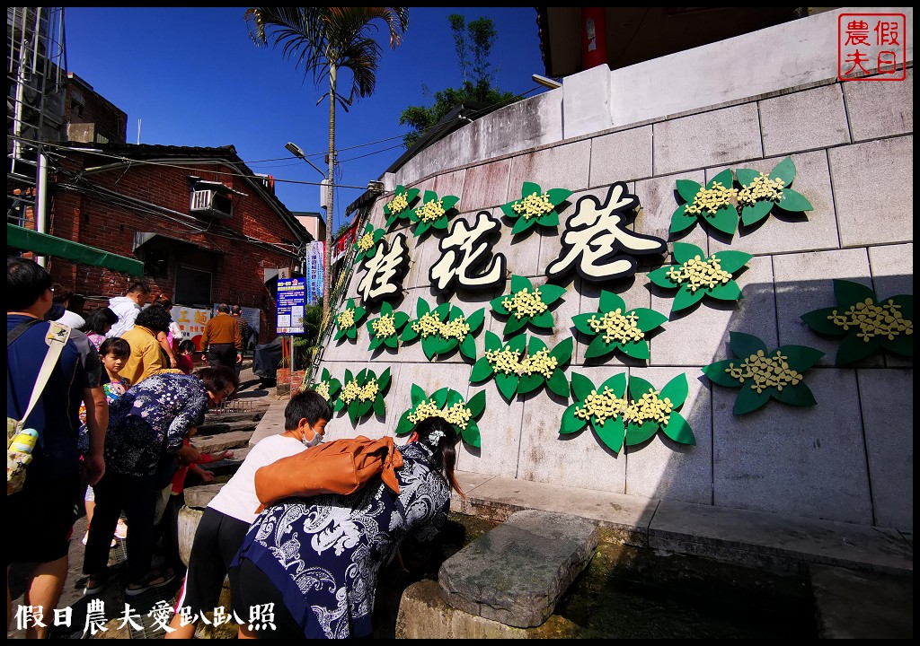 苗栗旅遊|南庄一日遊．慢城飄香遊南庄/桂花巷 @假日農夫愛趴趴照