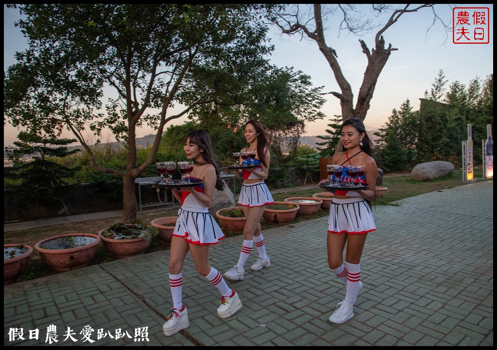 台中旅遊|外埔酒保庄葡萄園下的餐酒會×水流東紅酒音樂祭 @假日農夫愛趴趴照