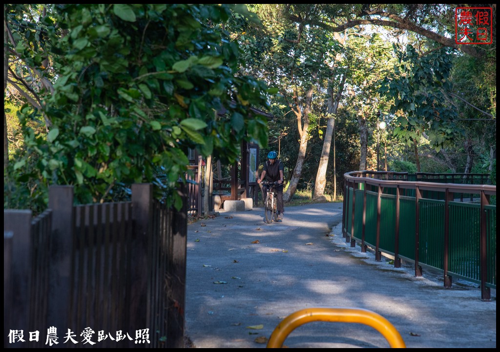 台中旅遊|外埔酒保庄葡萄園下的餐酒會×水流東紅酒音樂祭 @假日農夫愛趴趴照