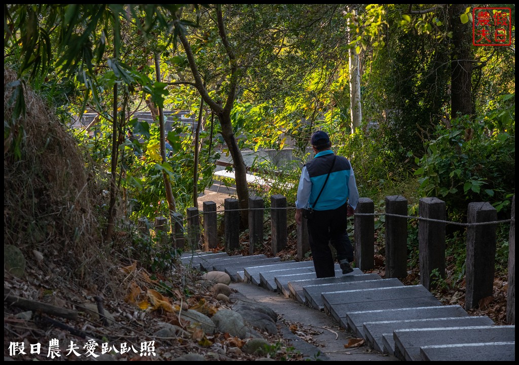 台中旅遊|外埔酒保庄葡萄園下的餐酒會×水流東紅酒音樂祭 @假日農夫愛趴趴照