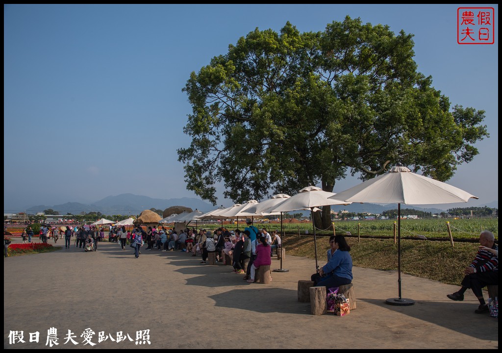 台中活動|小王子的星球之旅降臨新社花海/交通管制接駁資訊懶人包 @假日農夫愛趴趴照