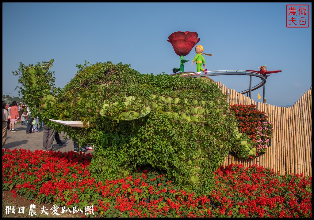 台中活動|小王子的星球之旅降臨新社花海/交通管制接駁資訊懶人包 @假日農夫愛趴趴照