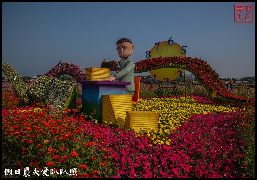 台中活動|小王子的星球之旅降臨新社花海/交通管制接駁資訊懶人包 @假日農夫愛趴趴照