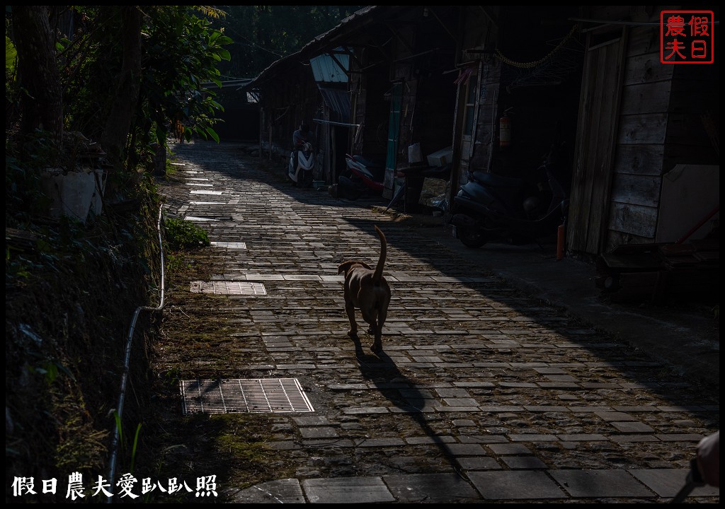 臺中市原鄉巴士部落巡禮活動．大甲溪裡冷部落和松鶴部落/泰雅族口簧琴/部落闖關 @假日農夫愛趴趴照