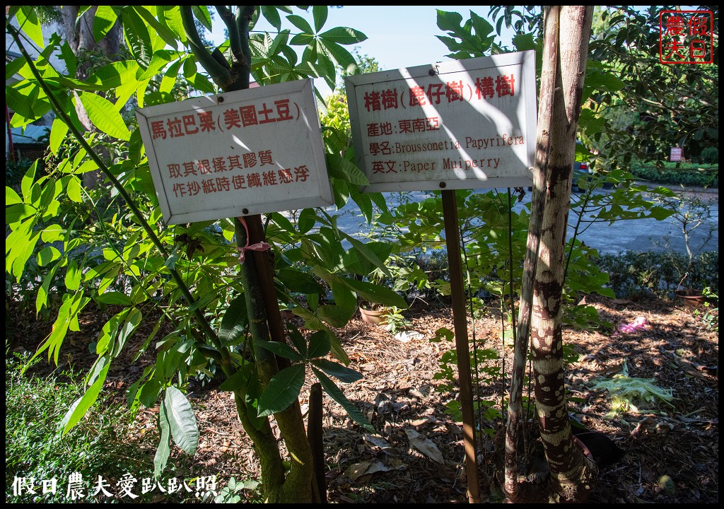 南投景點|埔里廣興紙寮．全台第一家造紙觀光工廠/可以吃的紙/菜倫紙 @假日農夫愛趴趴照