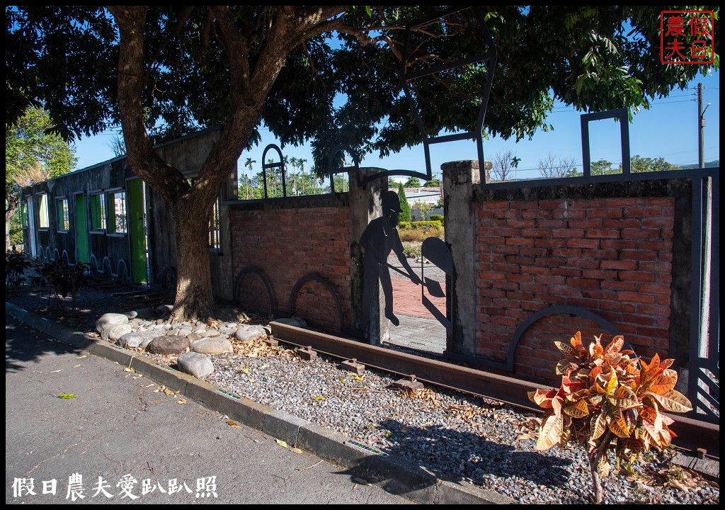 台中旅遊|泰安鐵道文化園區×泰安國小落羽松×豐原公老坪柑橘節×公老坪採橘趣 @假日農夫愛趴趴照