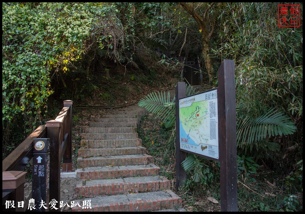 台中旅遊|泰安鐵道文化園區×泰安國小落羽松×豐原公老坪柑橘節×公老坪採橘趣 @假日農夫愛趴趴照