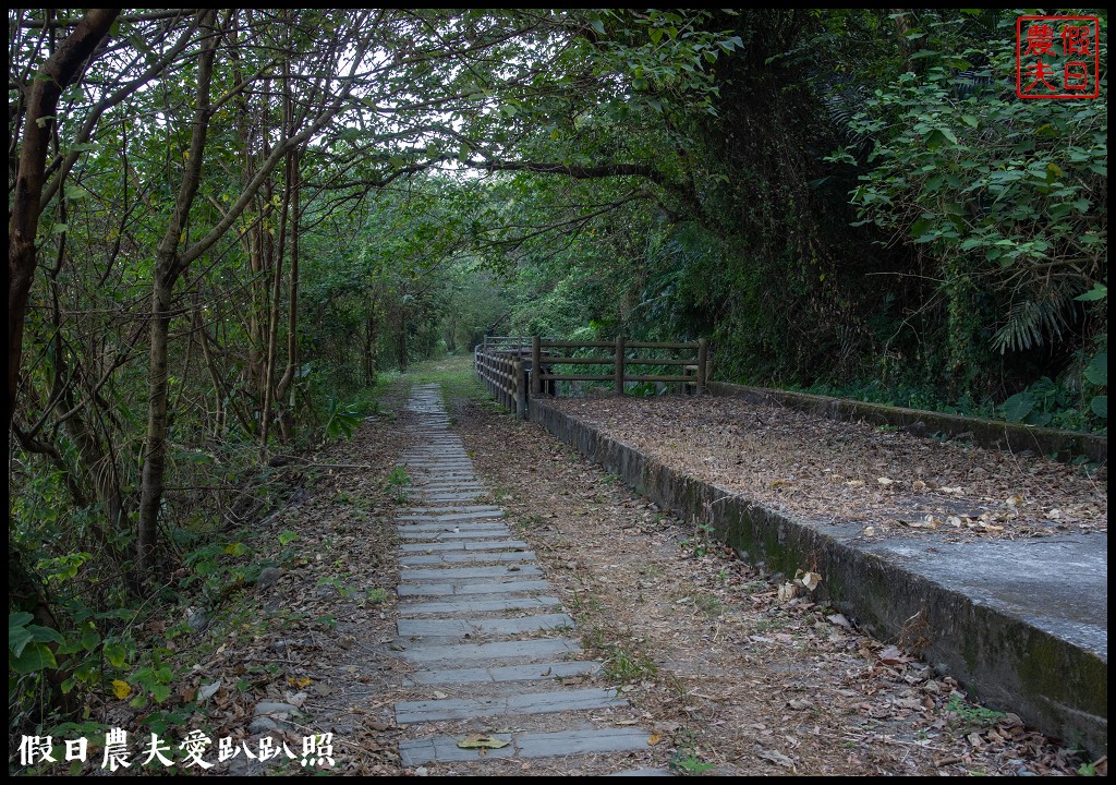 台中旅遊|泰安鐵道文化園區×泰安國小落羽松×豐原公老坪柑橘節×公老坪採橘趣 @假日農夫愛趴趴照