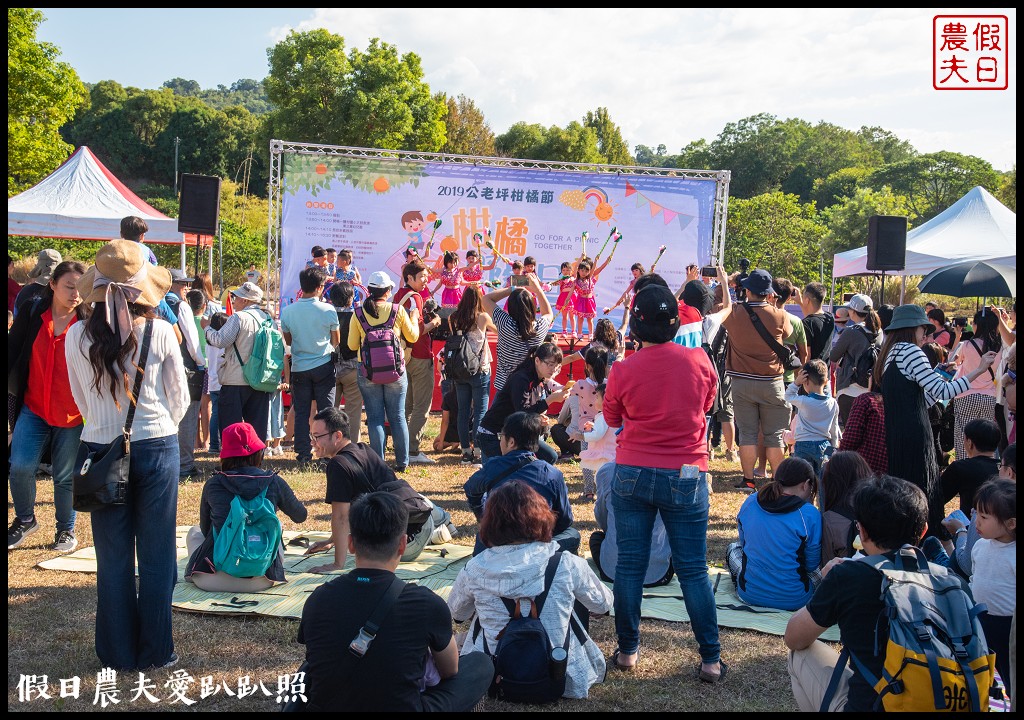 台中旅遊|泰安鐵道文化園區×泰安國小落羽松×豐原公老坪柑橘節×公老坪採橘趣 @假日農夫愛趴趴照