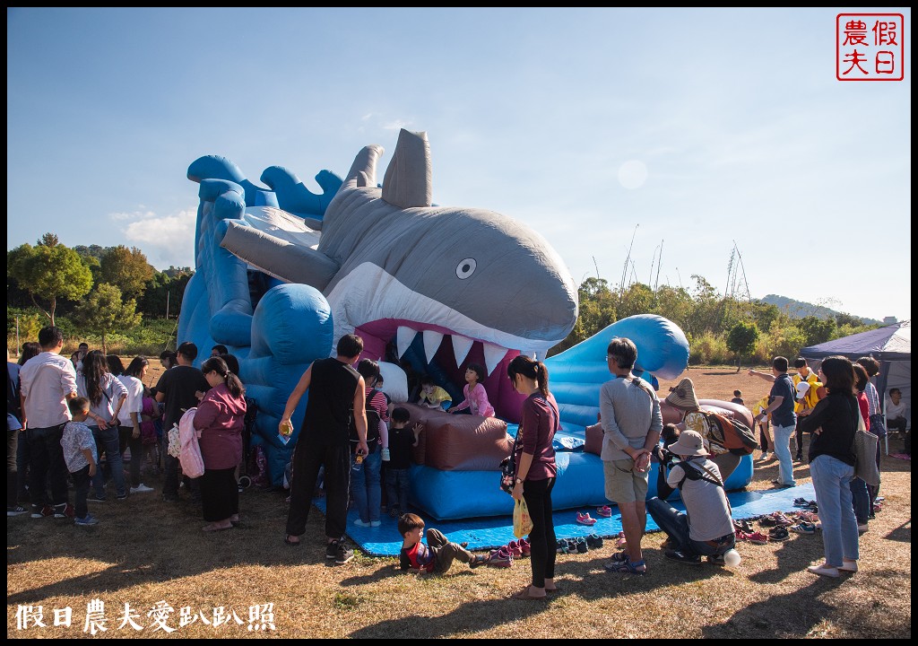 台中旅遊|泰安鐵道文化園區×泰安國小落羽松×豐原公老坪柑橘節×公老坪採橘趣 @假日農夫愛趴趴照