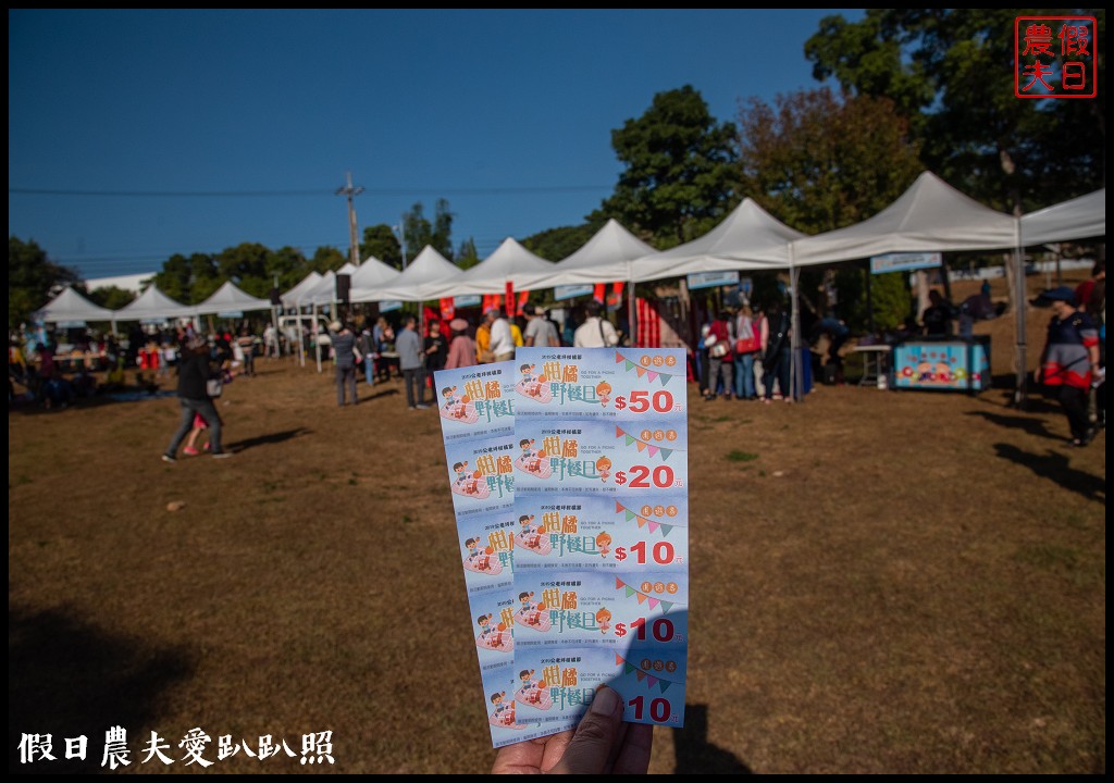 台中旅遊|泰安鐵道文化園區×泰安國小落羽松×豐原公老坪柑橘節×公老坪採橘趣 @假日農夫愛趴趴照