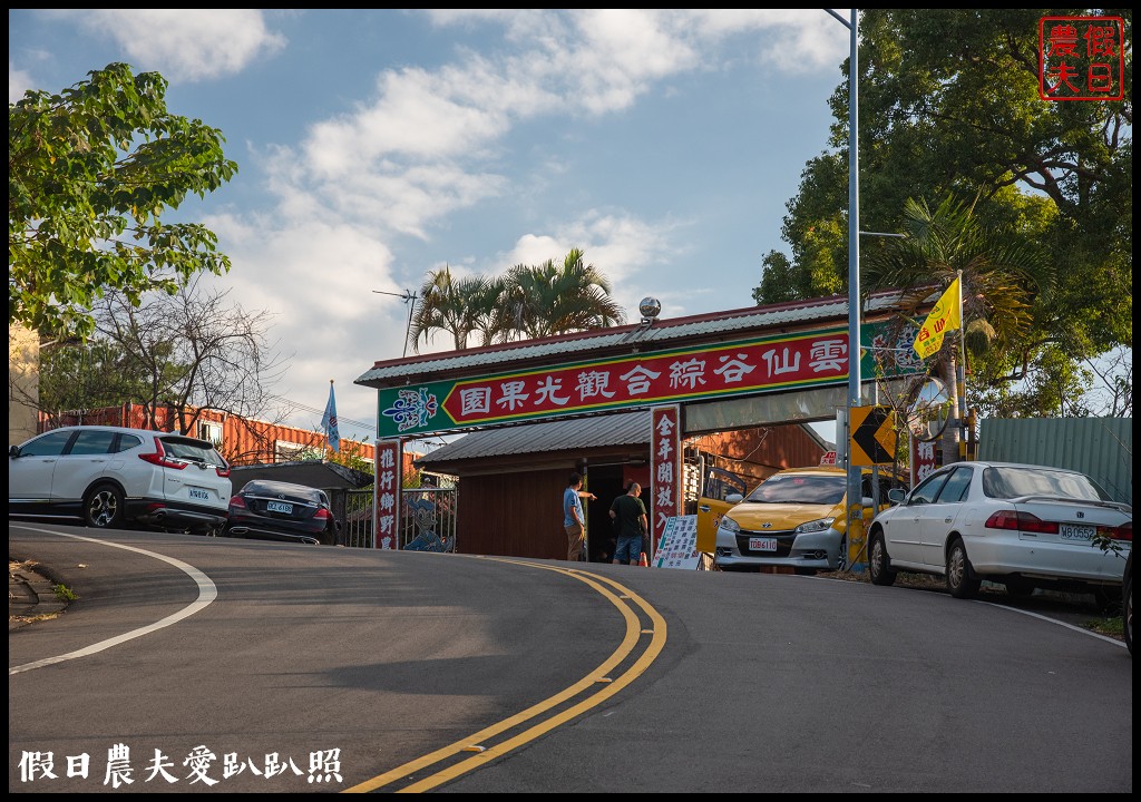 台中旅遊|泰安鐵道文化園區×泰安國小落羽松×豐原公老坪柑橘節×公老坪採橘趣 @假日農夫愛趴趴照