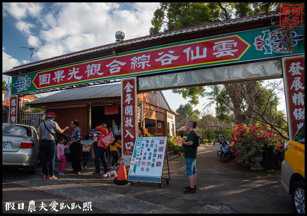 台中旅遊|泰安鐵道文化園區×泰安國小落羽松×豐原公老坪柑橘節×公老坪採橘趣 @假日農夫愛趴趴照