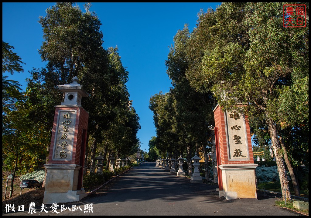 南投市區下雪了．易經大學白雪木大盛開/免門票免費參觀 @假日農夫愛趴趴照