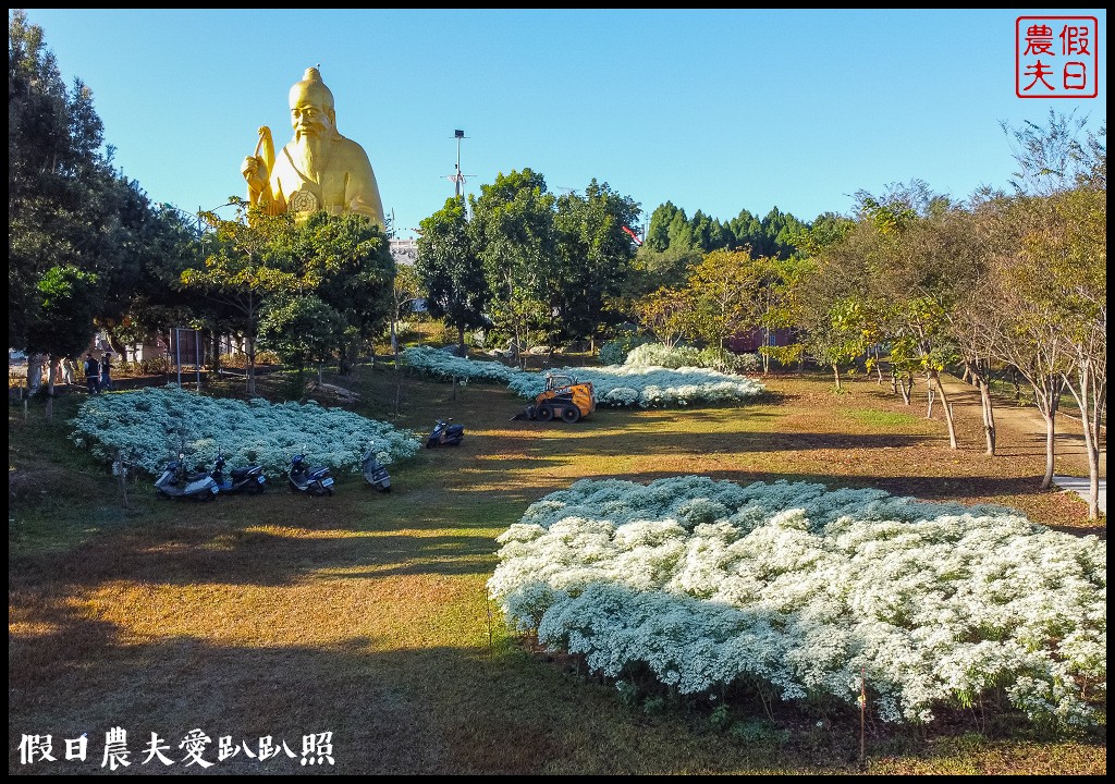 南投市區下雪了．易經大學白雪木大盛開/免門票免費參觀 @假日農夫愛趴趴照