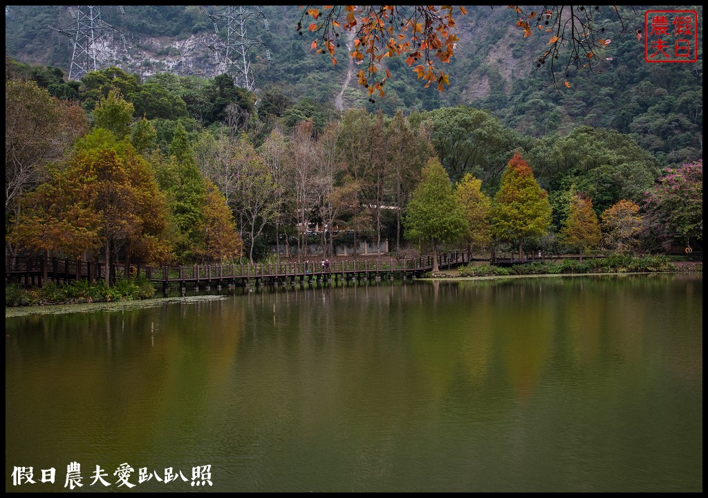 2020年最新景點搶先看|雙龍七彩吊橋．好似一抹微笑的彩虹 @假日農夫愛趴趴照