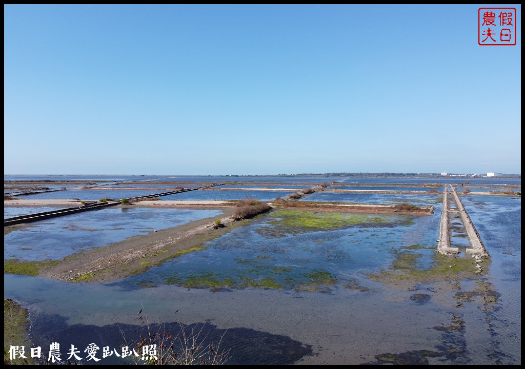 臺南將軍|青鯤鯓一日遊．賞扇形鹽田吃秀里蚵嗲 @假日農夫愛趴趴照