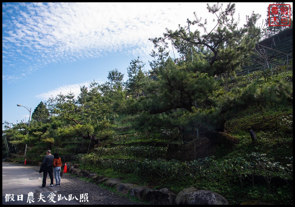 南投日月潭景點|「Hohocha 喝喝茶」紅茶觀光工廠．台灣香日月潭紅茶廠/揉茶/品茗/混茶/披薩DIY @假日農夫愛趴趴照