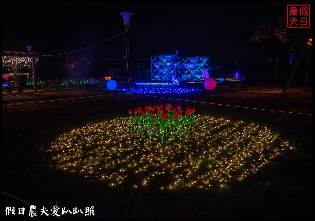 2020南投燈會主燈「彩燈金花‧旋轉錢坤」．日遊花海夜賞燈會音樂幻彩水舞/小提燈發放資訊/重慶銅梁火龍表演時間 @假日農夫愛趴趴照