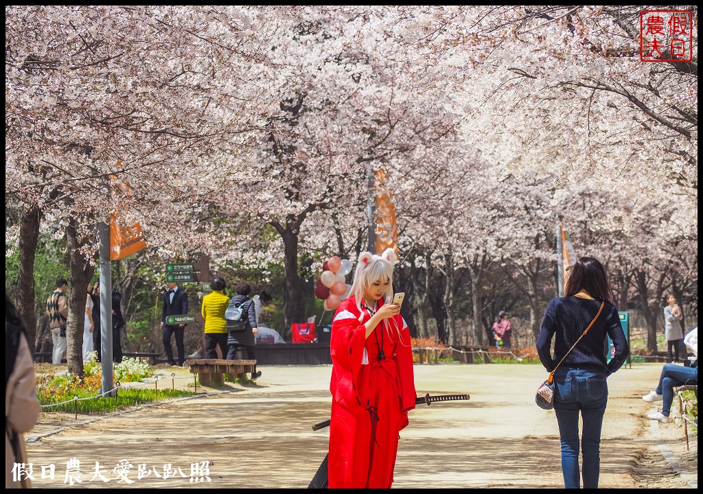 首爾林(서울숲)|滿開的櫻花林道．悠閒的賞櫻景點 @假日農夫愛趴趴照