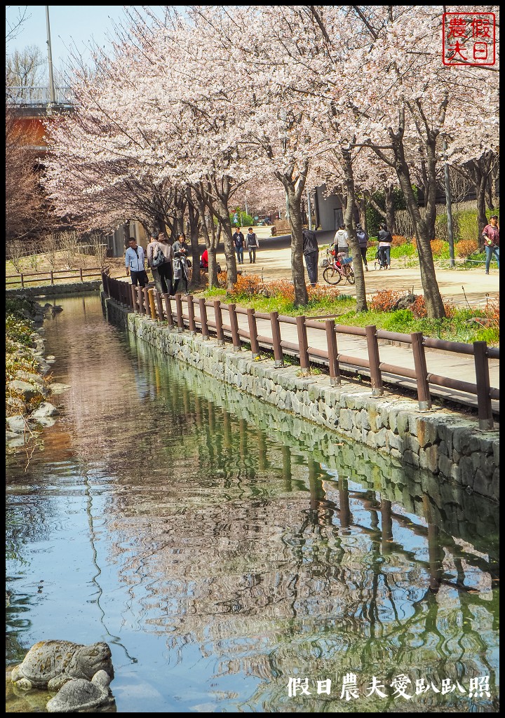 首爾林(서울숲)|滿開的櫻花林道．悠閒的賞櫻景點 @假日農夫愛趴趴照