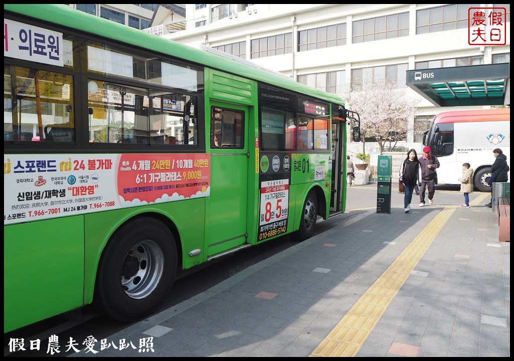 首爾|回基站慶熙大學．櫻花搭配哥德式建築的和平殿堂非常漂亮 @假日農夫愛趴趴照