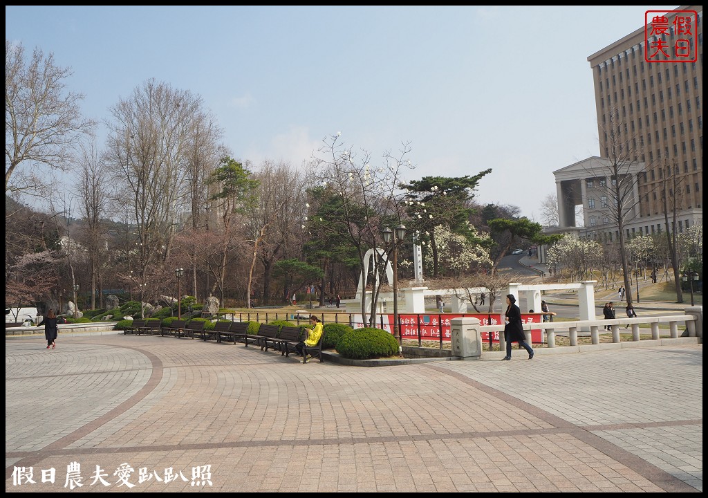 首爾|回基站慶熙大學．櫻花搭配哥德式建築的和平殿堂非常漂亮 @假日農夫愛趴趴照