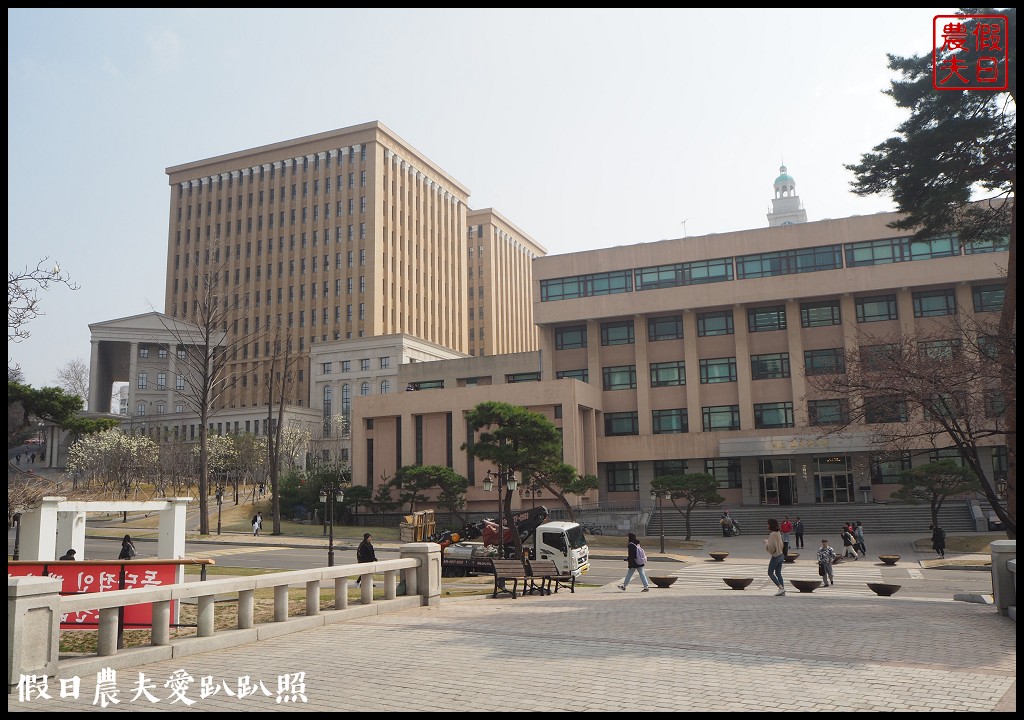 首爾|回基站慶熙大學．櫻花搭配哥德式建築的和平殿堂非常漂亮 @假日農夫愛趴趴照