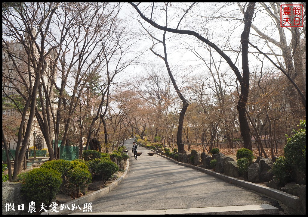 首爾|回基站慶熙大學．櫻花搭配哥德式建築的和平殿堂非常漂亮 @假日農夫愛趴趴照