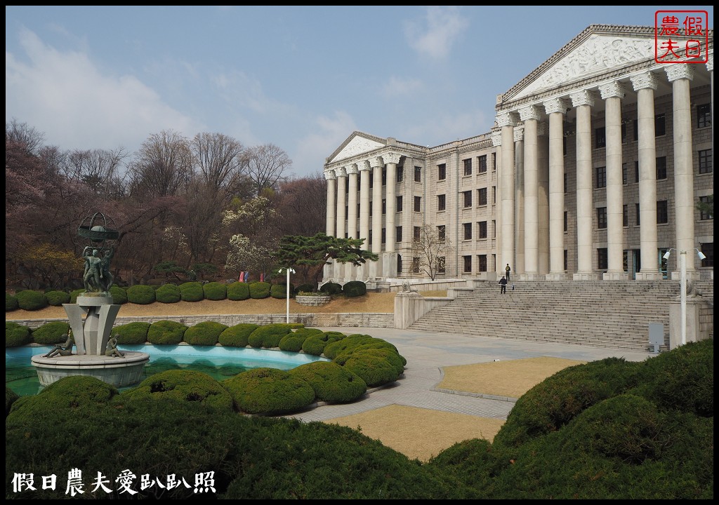 首爾|回基站慶熙大學．櫻花搭配哥德式建築的和平殿堂非常漂亮 @假日農夫愛趴趴照