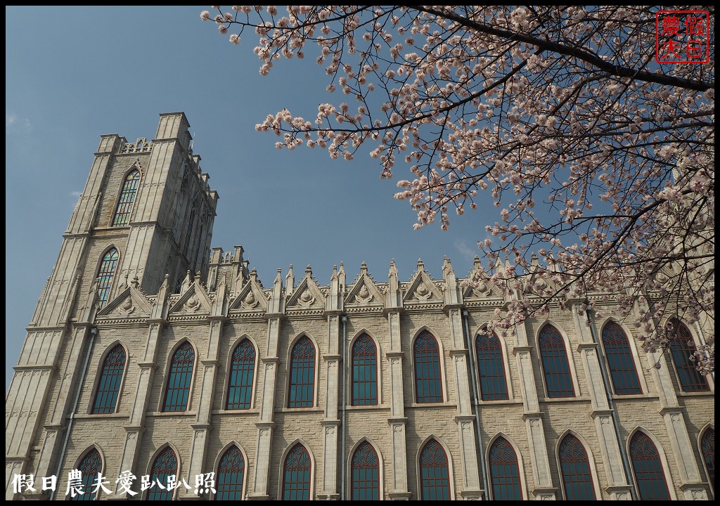 首爾|回基站慶熙大學．櫻花搭配哥德式建築的和平殿堂非常漂亮 @假日農夫愛趴趴照