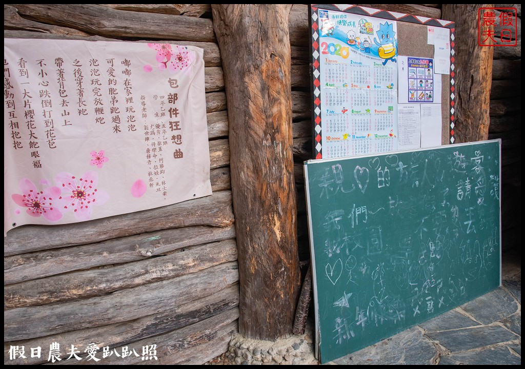 司馬庫斯巨木群必去．2月櫻花盛開變身粉紅部落/交通管制 @假日農夫愛趴趴照