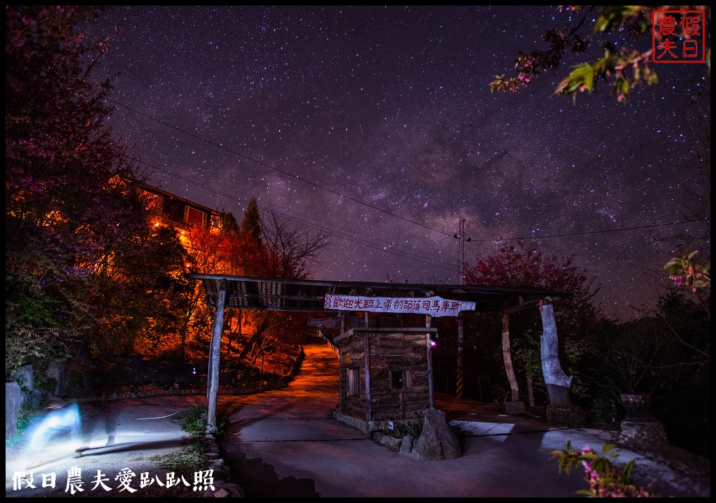 司馬庫斯巨木群必去．2月櫻花盛開變身粉紅部落/交通管制 @假日農夫愛趴趴照