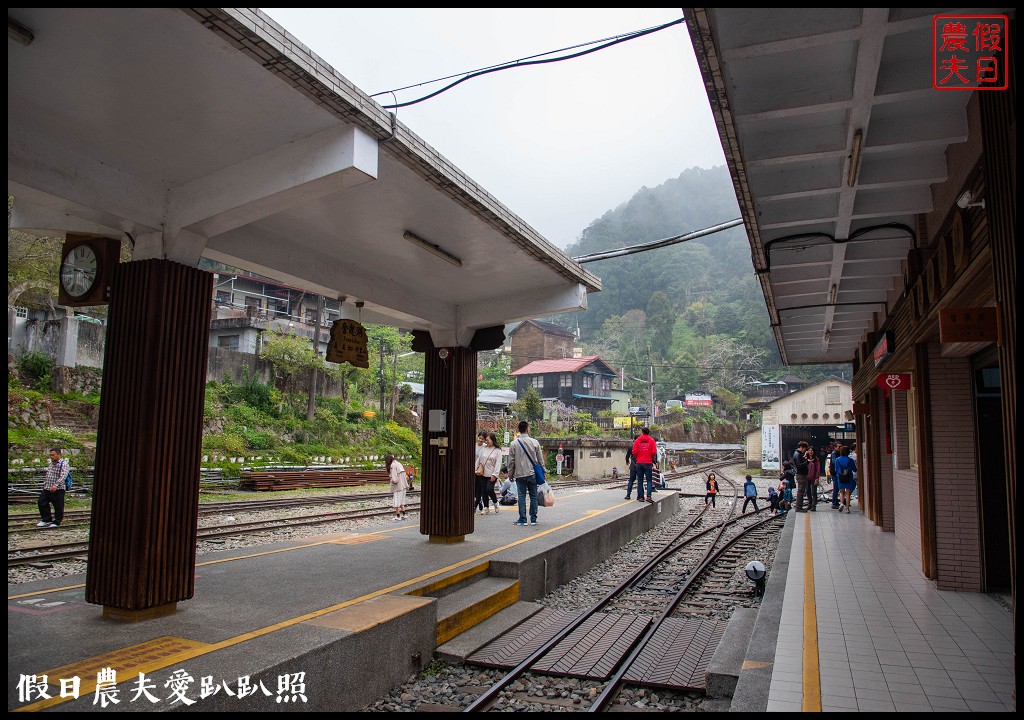 阿里山住宿|奮起湖大飯店．日式榻榻米房型和檜木浴桶/奮起湖便當 @假日農夫愛趴趴照