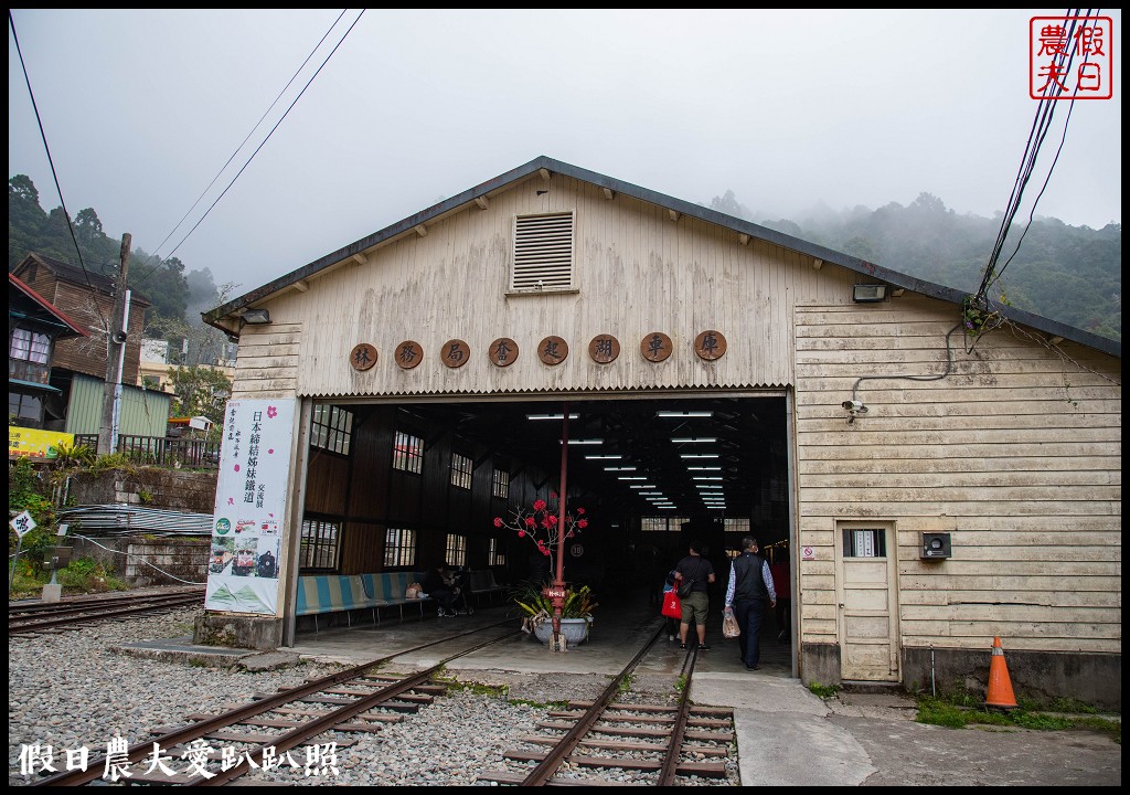 阿里山住宿|奮起湖大飯店．日式榻榻米房型和檜木浴桶/奮起湖便當 @假日農夫愛趴趴照