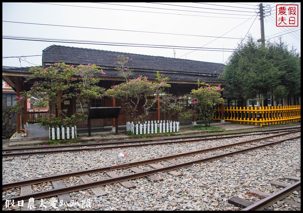 阿里山住宿|奮起湖大飯店．日式榻榻米房型和檜木浴桶/奮起湖便當 @假日農夫愛趴趴照