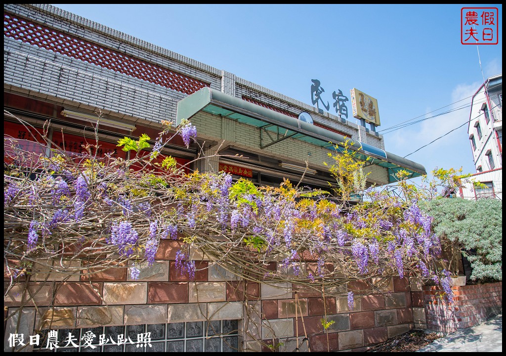 瑞里紫藤花況搶先報．目前綠色隧道休息站前最美/王鼎茶園也不錯 @假日農夫愛趴趴照