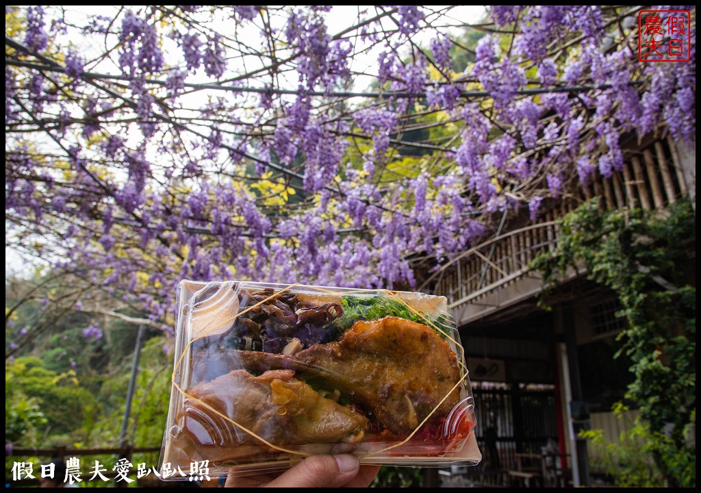 瑞里紫藤花況搶先報．目前綠色隧道休息站前最美/王鼎茶園也不錯 @假日農夫愛趴趴照