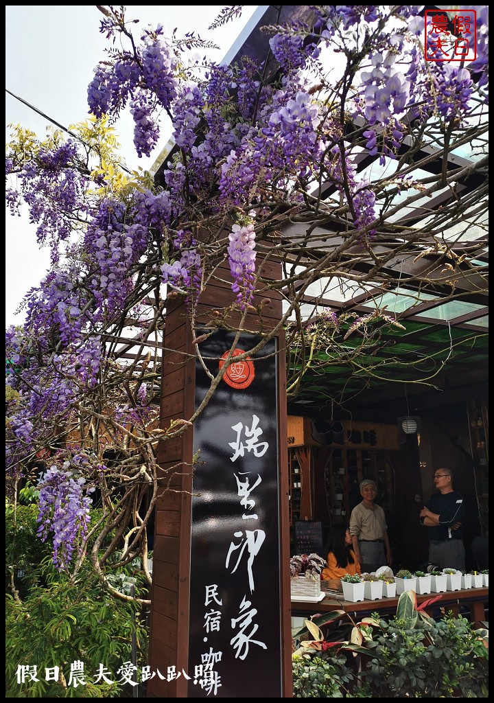 瑞里紫藤花況搶先報．目前綠色隧道休息站前最美/王鼎茶園也不錯 @假日農夫愛趴趴照