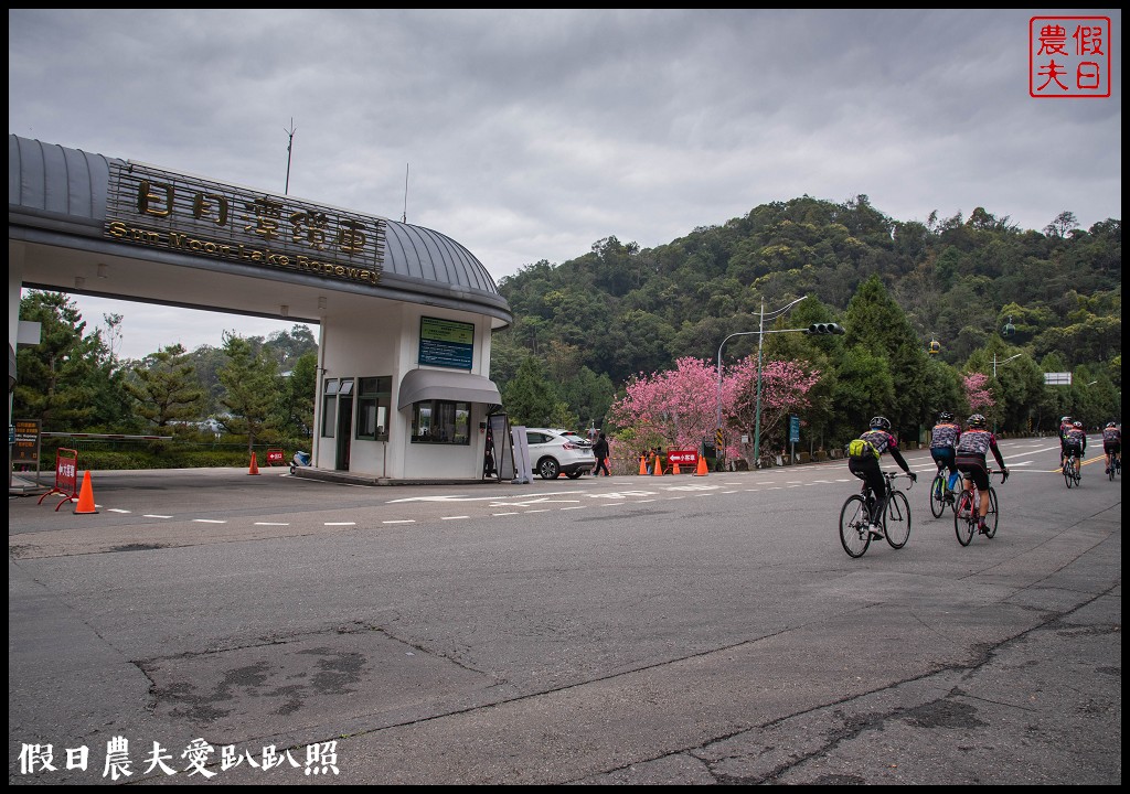 日月潭纜車站停車場富士櫻盛開，搭纜車體驗空拍機視角賞櫻花 @假日農夫愛趴趴照