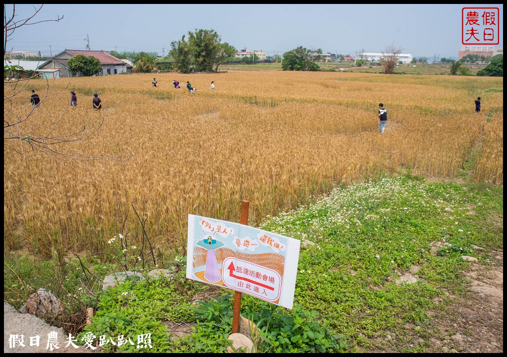 2020外埔麥田圈地景藝術．用上帝視角看麥田圈/交通路線 @假日農夫愛趴趴照