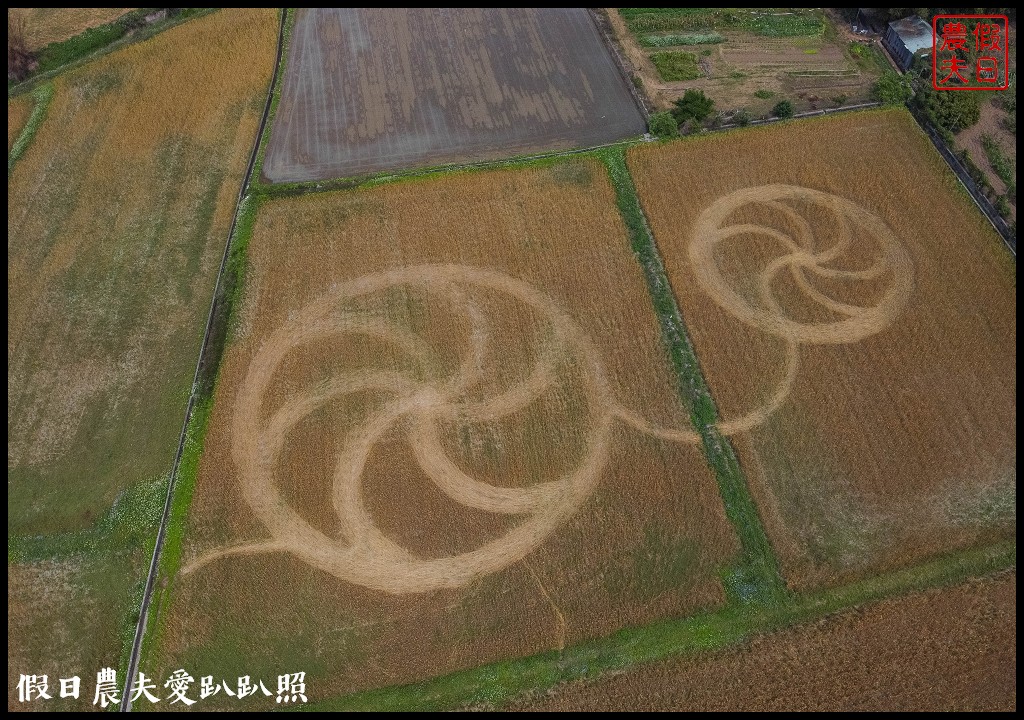 2020外埔麥田圈地景藝術．用上帝視角看麥田圈/交通路線 @假日農夫愛趴趴照