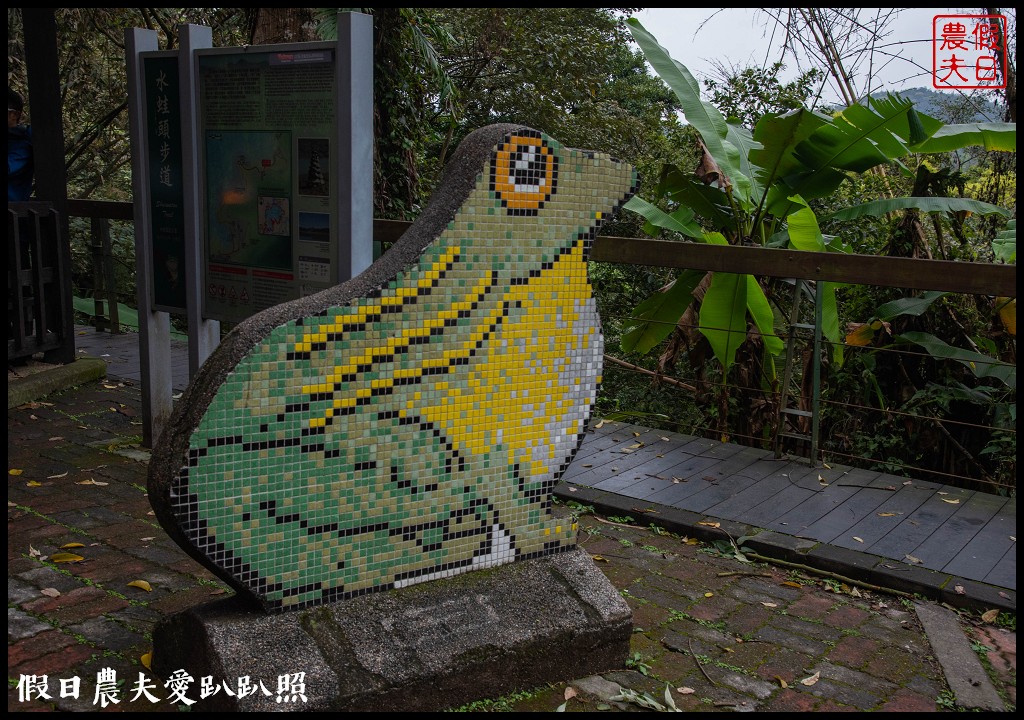 日月潭水蛙頭步道|九蛙疊像現身．難得一見快把握機會來拍照 @假日農夫愛趴趴照