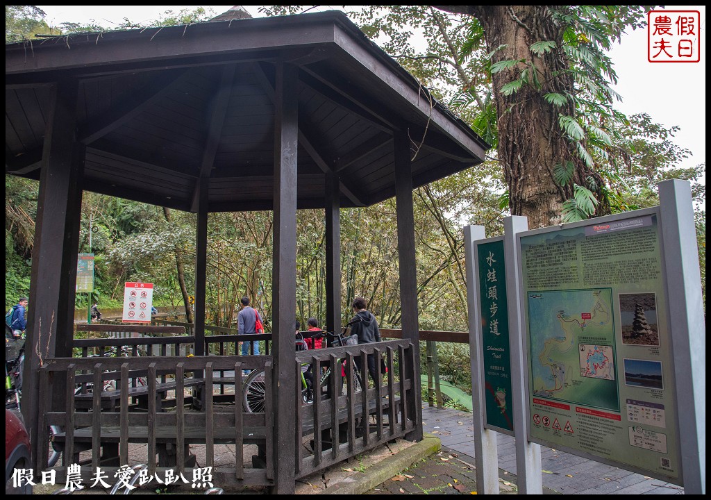 日月潭水蛙頭步道|九蛙疊像現身．難得一見快把握機會來拍照 @假日農夫愛趴趴照